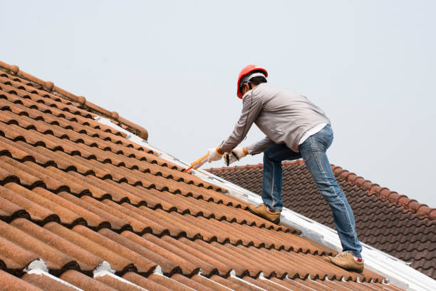 Professional Roofing services in Vineyard, CA